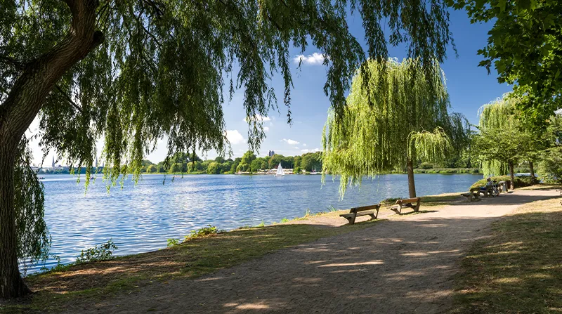 Grüner Alsterwanderweg entlang des Wassers in Hamburg