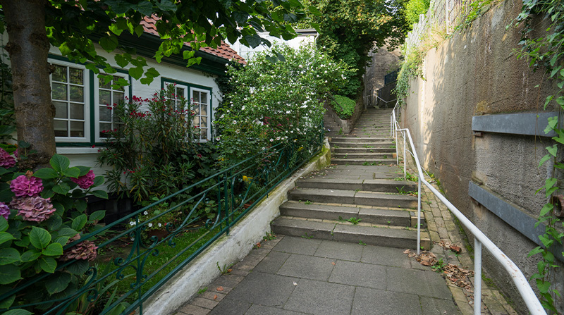 Begrünte Treppe im Treppenviertel von Hamburg-Blankenese
